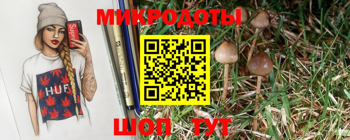 Галлюциногенные грибы Psilocybine cubensis  Вход с VPN  Видное 